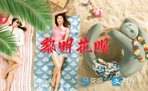 了如指掌花呗